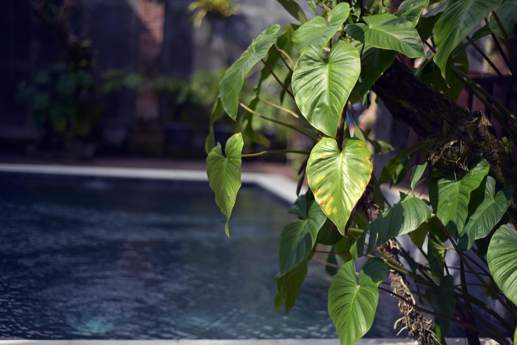 Wooden Villa By Prasi Ubud Zewnętrze zdjęcie