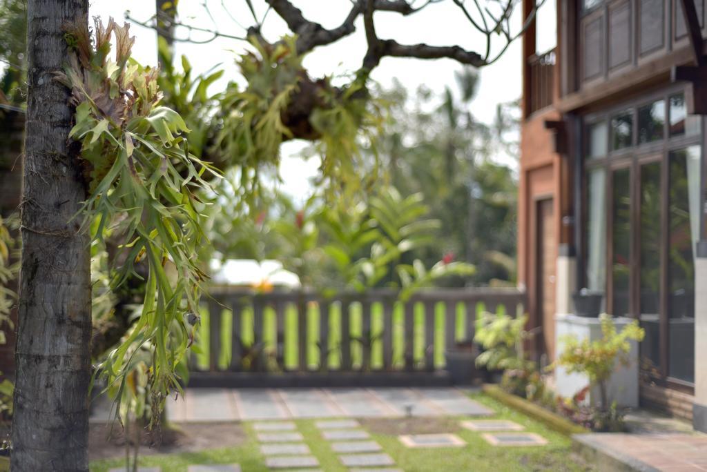 Wooden Villa By Prasi Ubud Zewnętrze zdjęcie
